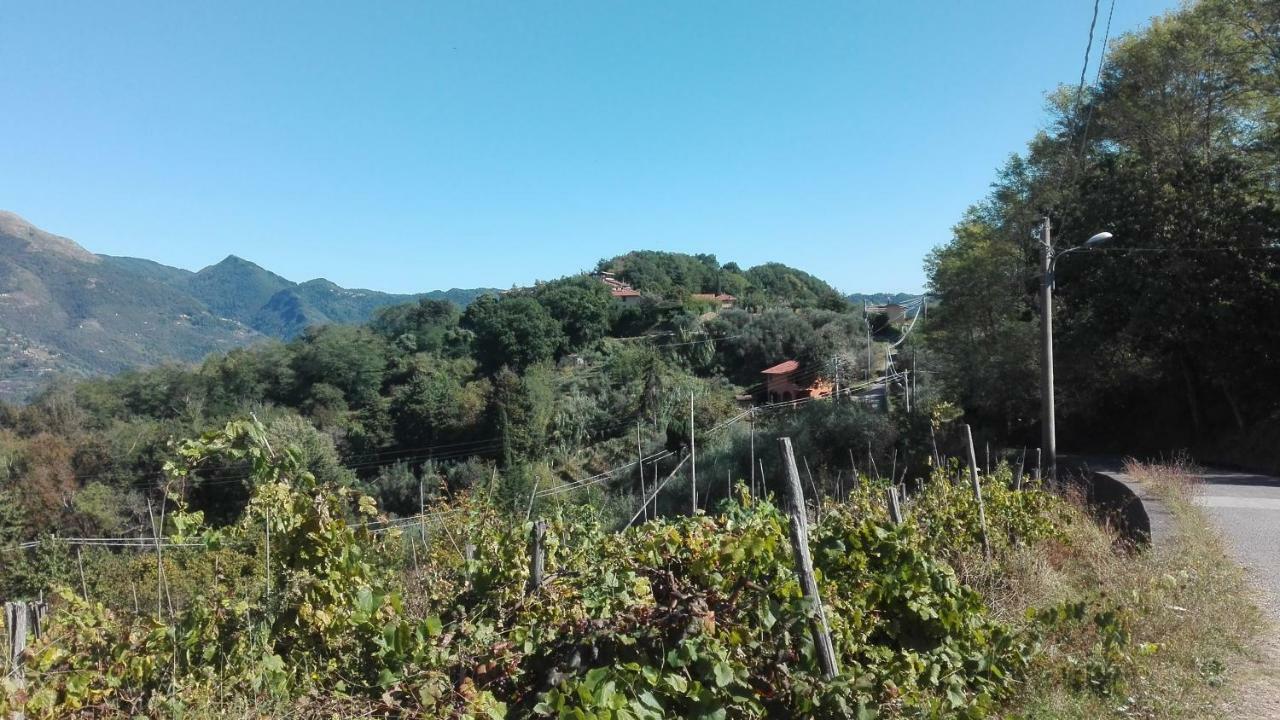 Casa Greta Villa Massarosa Buitenkant foto