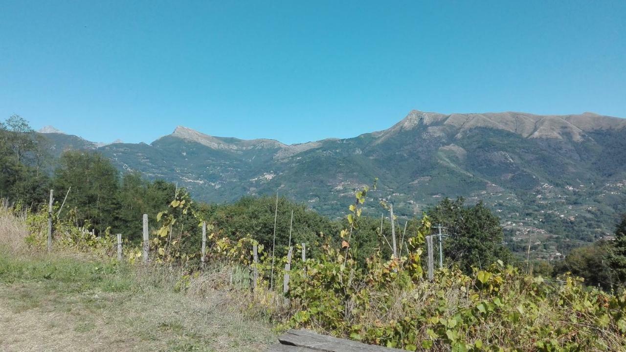 Casa Greta Villa Massarosa Buitenkant foto